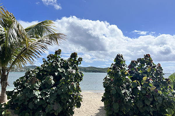 IMG_0712-beach entry-600x400